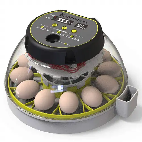 KEBONNIXS 12 Egg Incubator